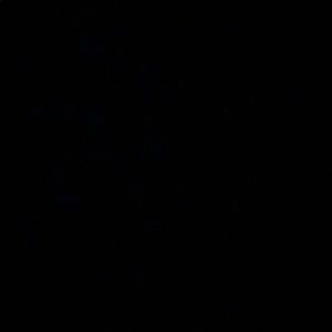 Meet your Posher, Mia